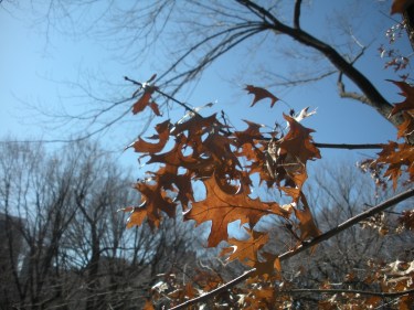 It's officially fall!