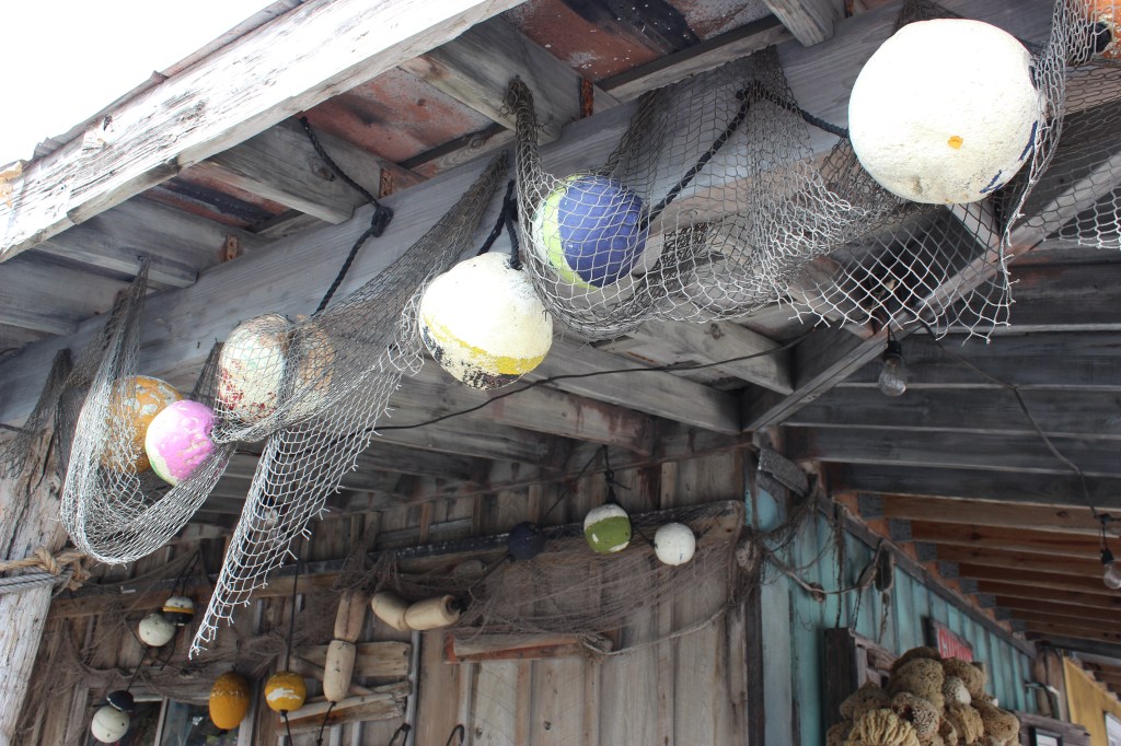 The Bohemian Mermaid