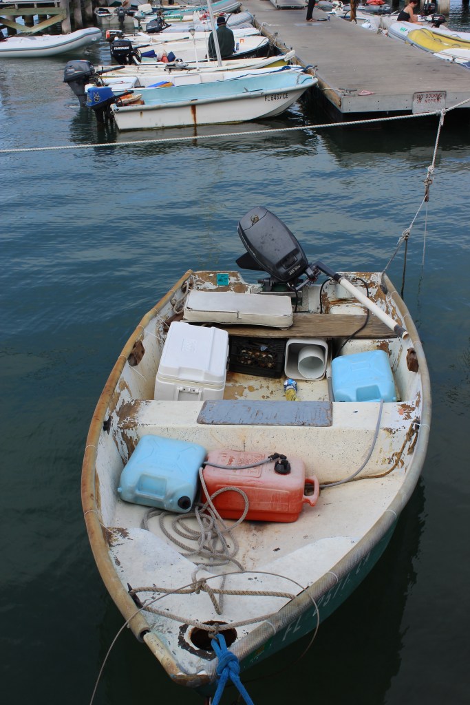 The Bohemian Mermaid