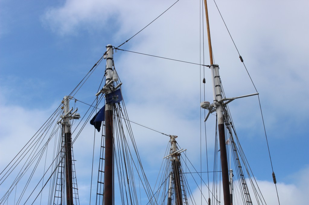 The Bohemian Mermaid