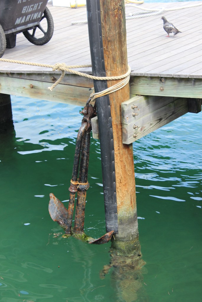 The Bohemian Mermaid