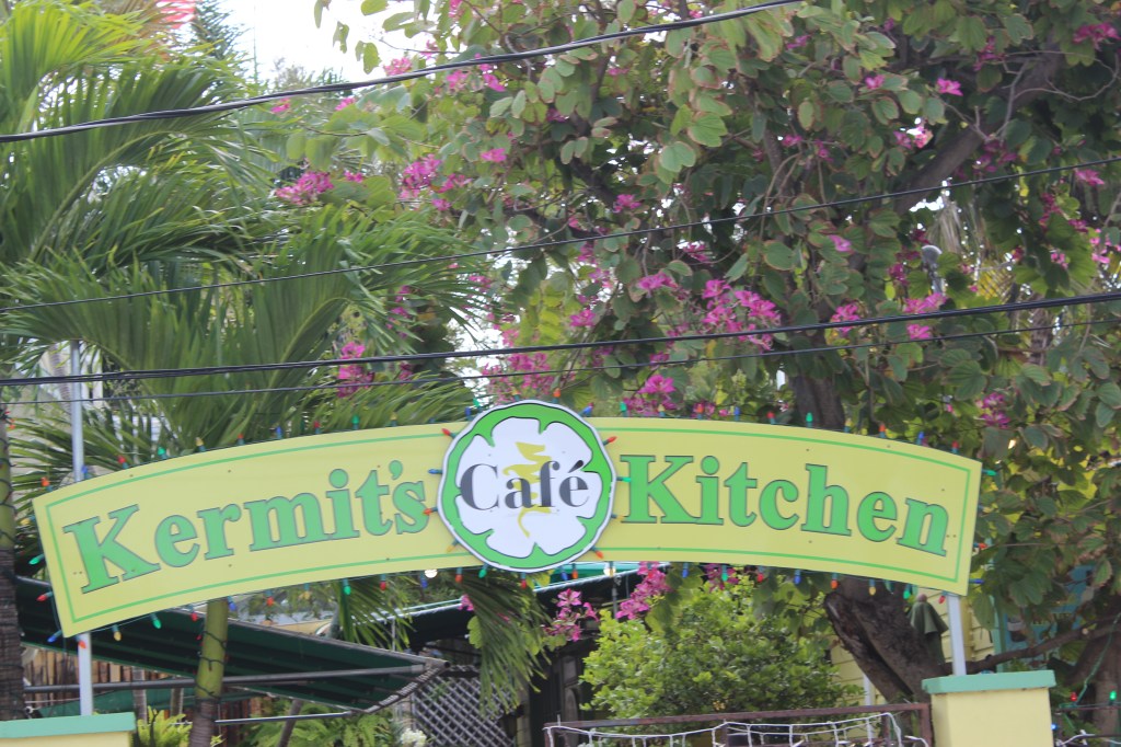 The Bohemian Mermaid