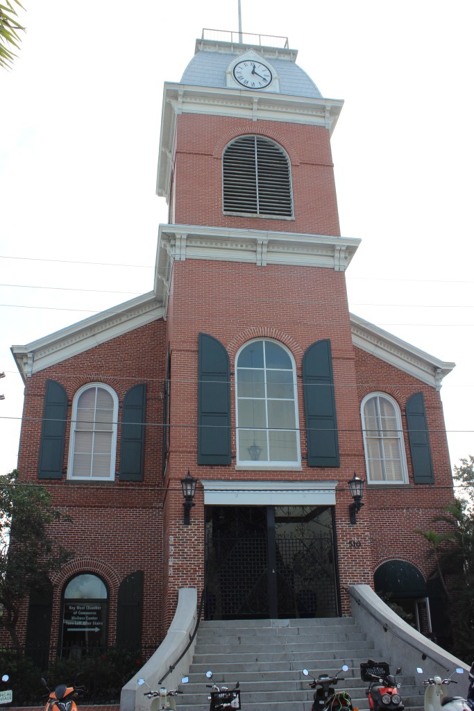 The Bohemian Mermaid