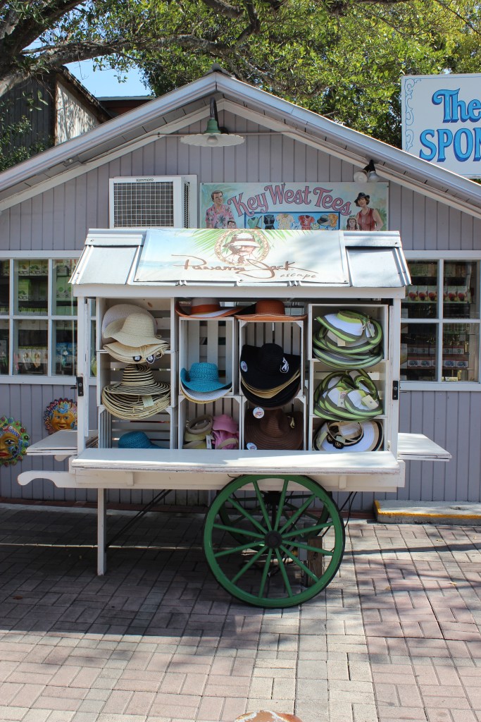 The Bohemian Mermaid