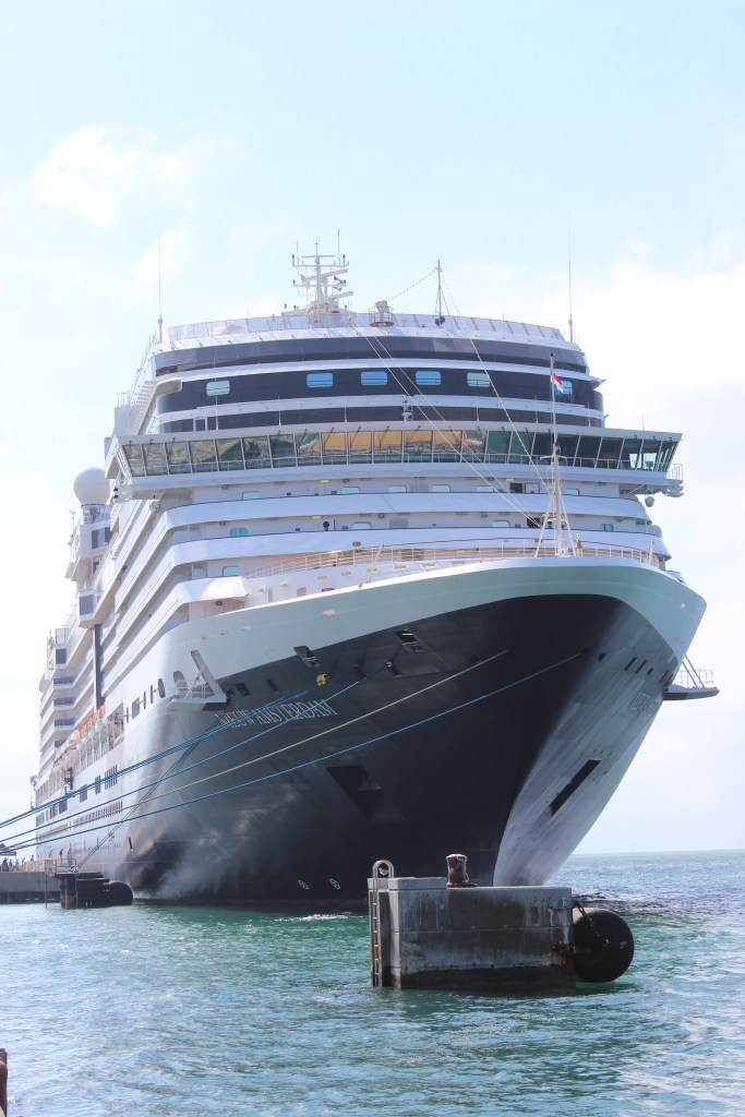 The Bohemian Mermaid