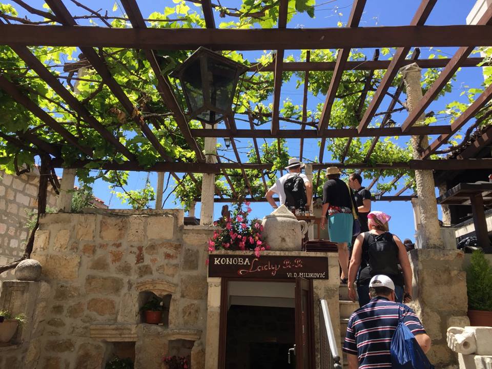 18836028_1534029046607912_709758628916647174_n